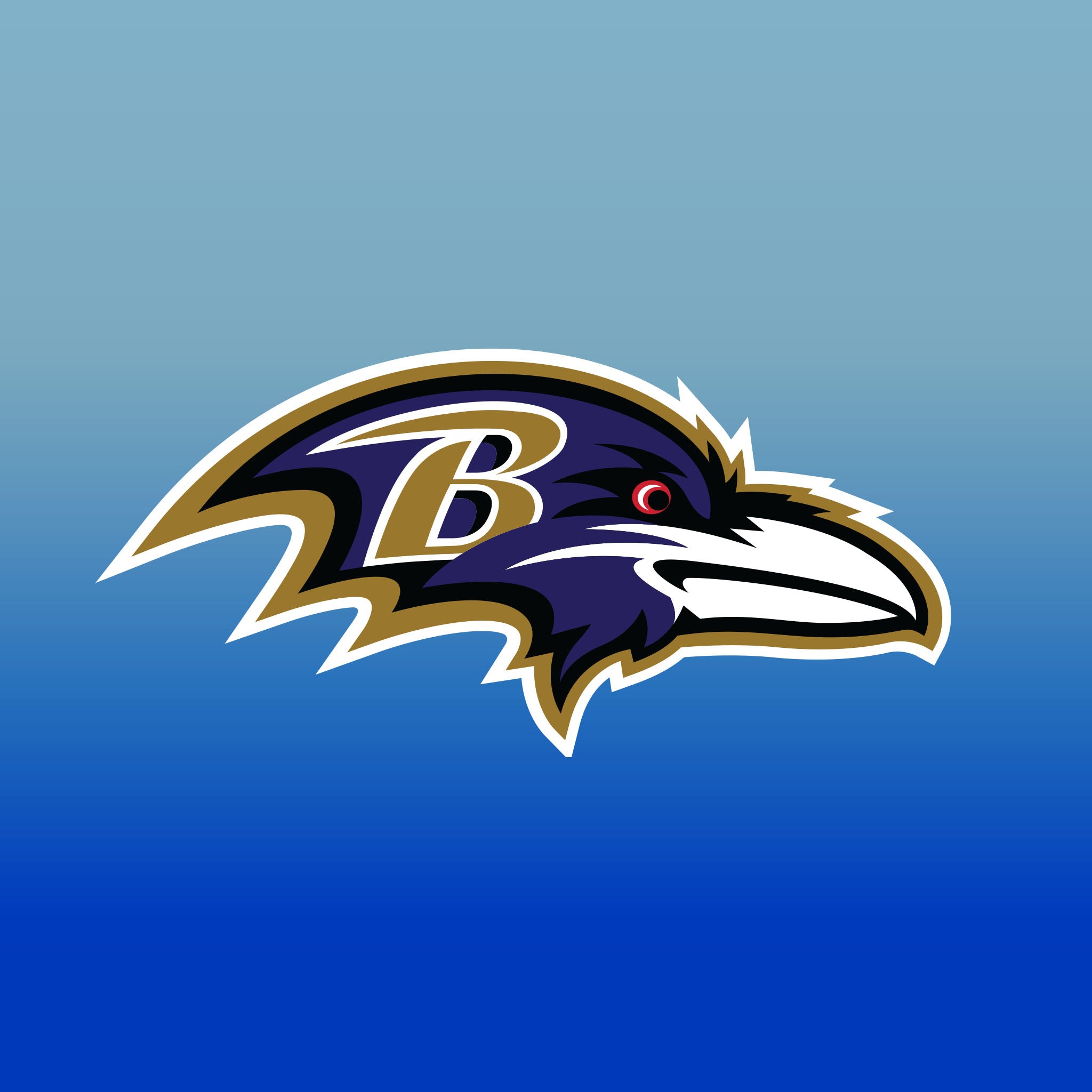 Top Cup Baltimore Ravens NFL Aluminum Cup