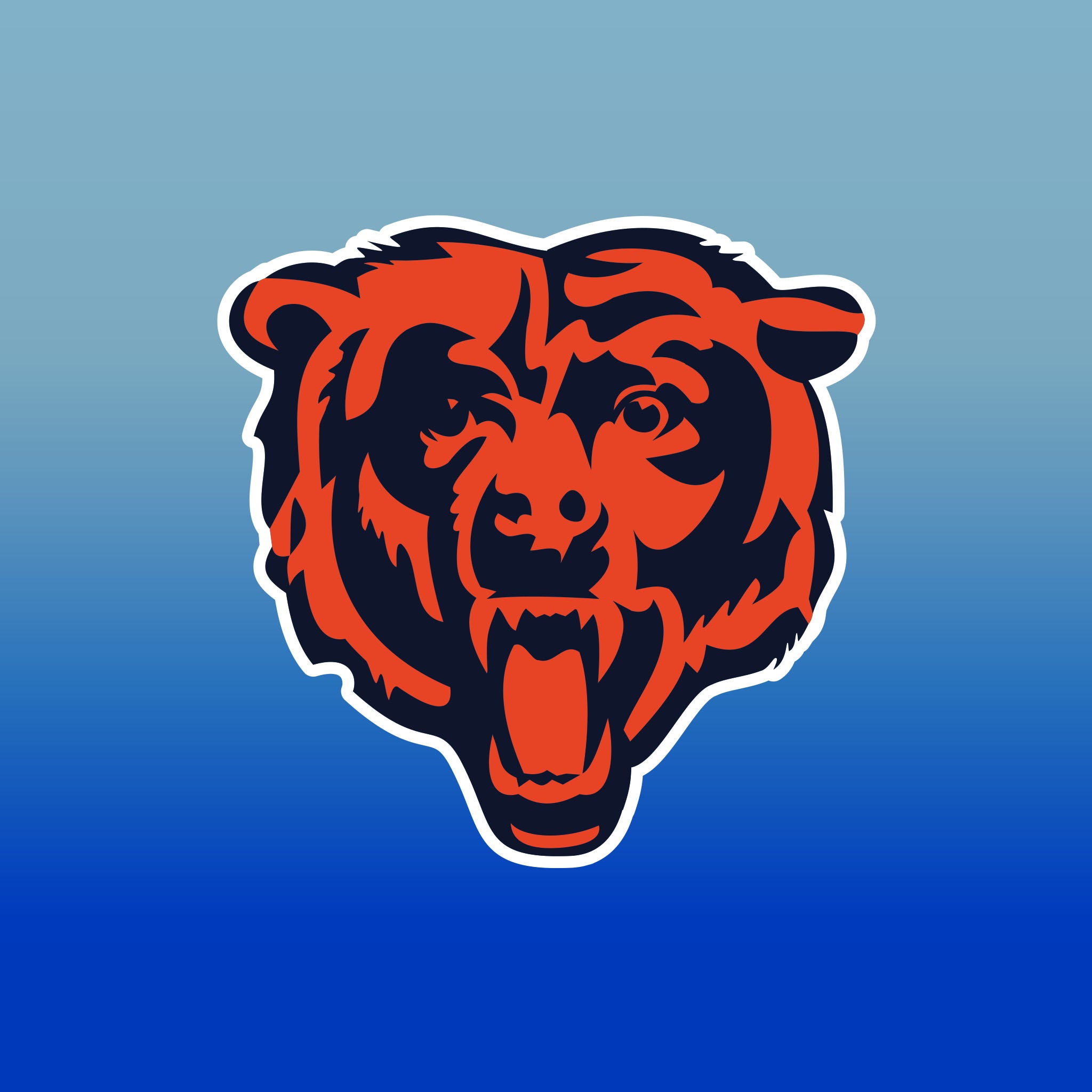 Top Cup Chicago Bears NFL Aluminum Cup