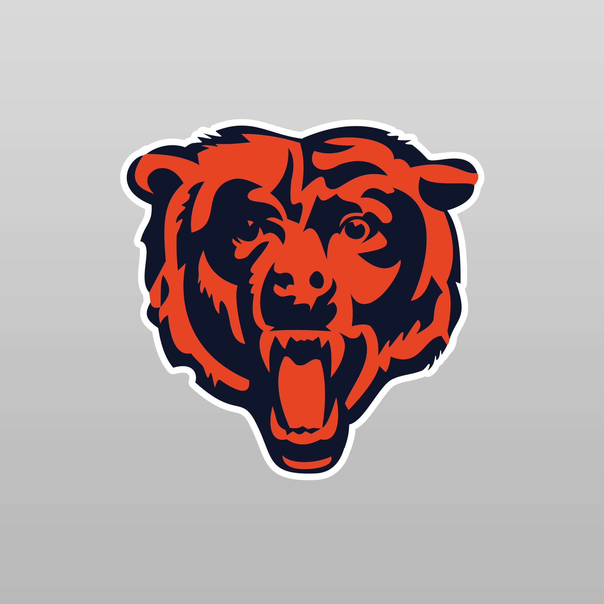 Top Cup Chicago Bears NFL Aluminum Cup