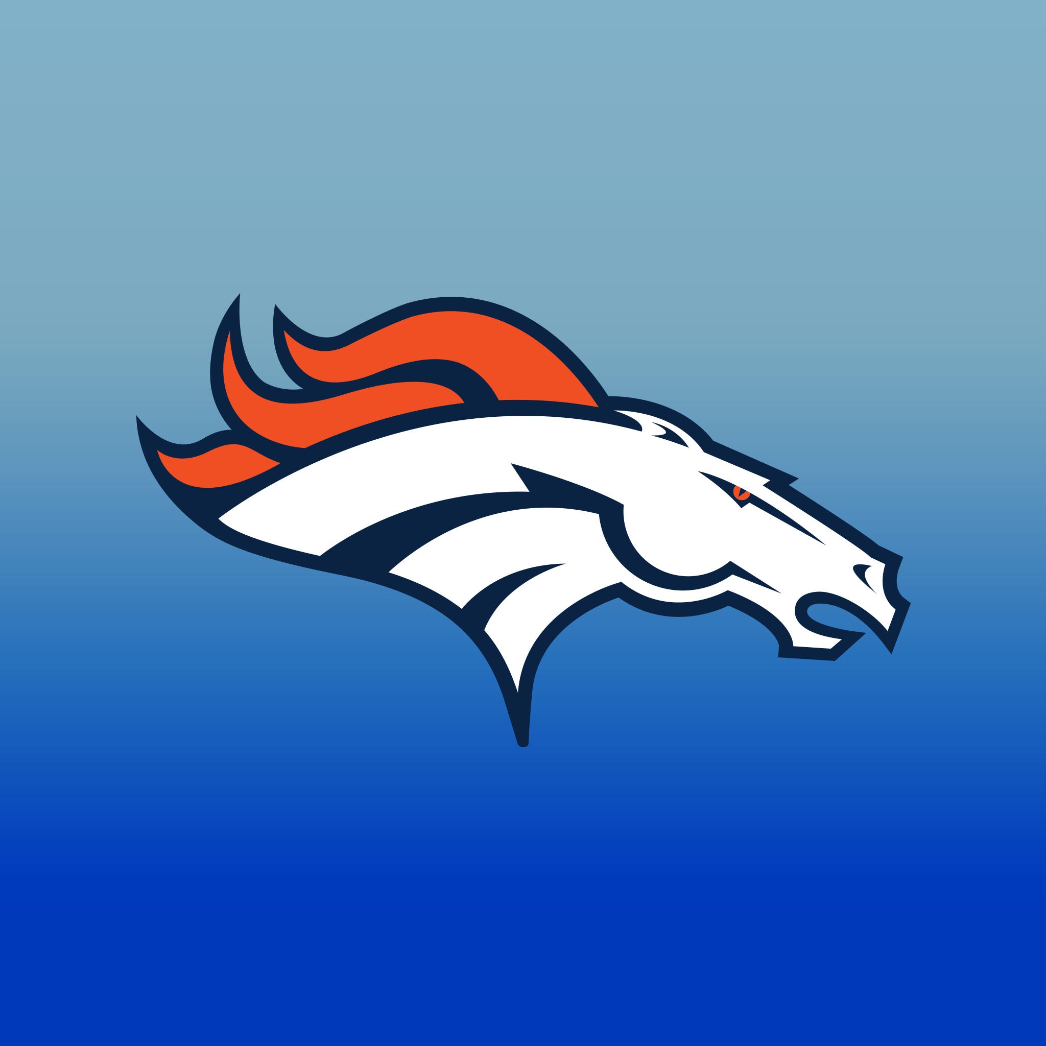 Top Cup Denver Broncos NFL Aluminum Cup