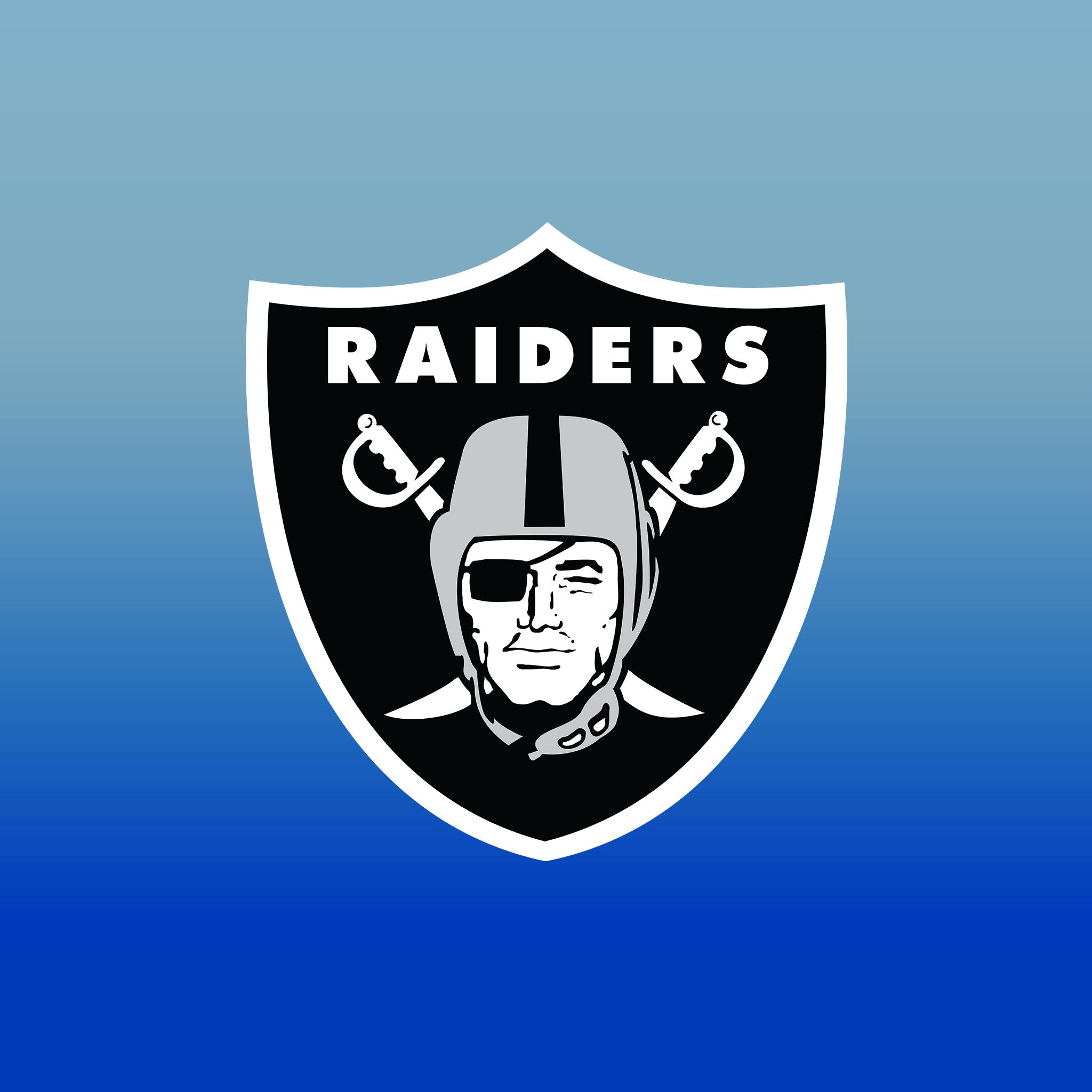 Top Cup Las Vegas Raiders NFL Aluminum Cup