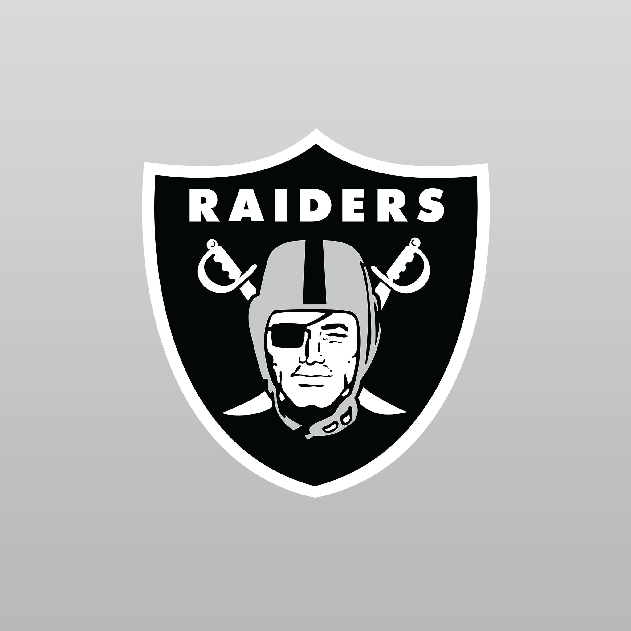 Top Cup Las Vegas Raiders NFL Aluminum Cup