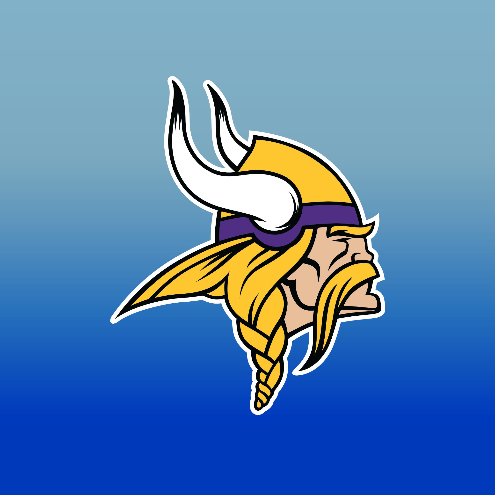 Top Cup Minnesota Vikings NFL Aluminum Cup