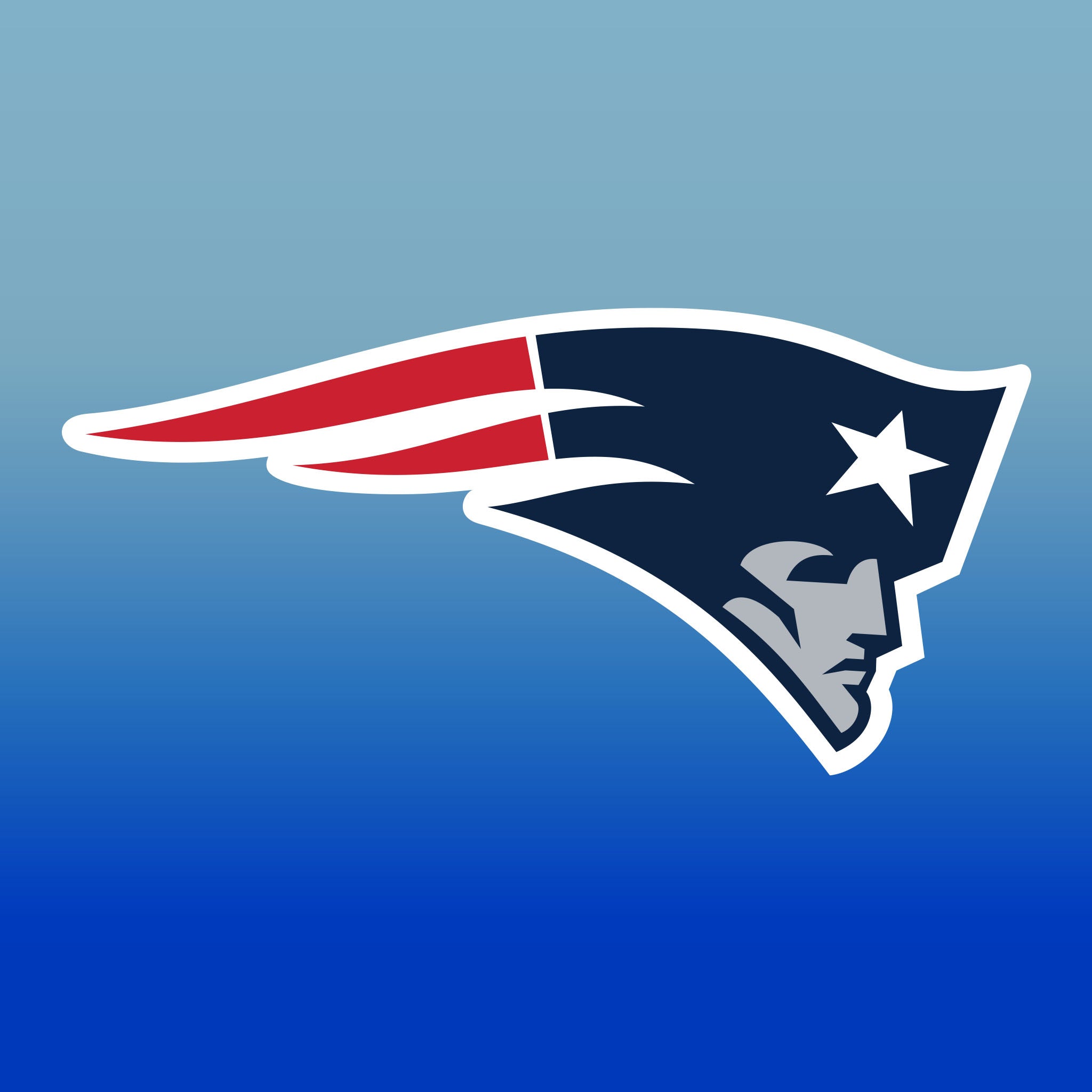 Top Cup New England Patriots NFL Aluminum Cup