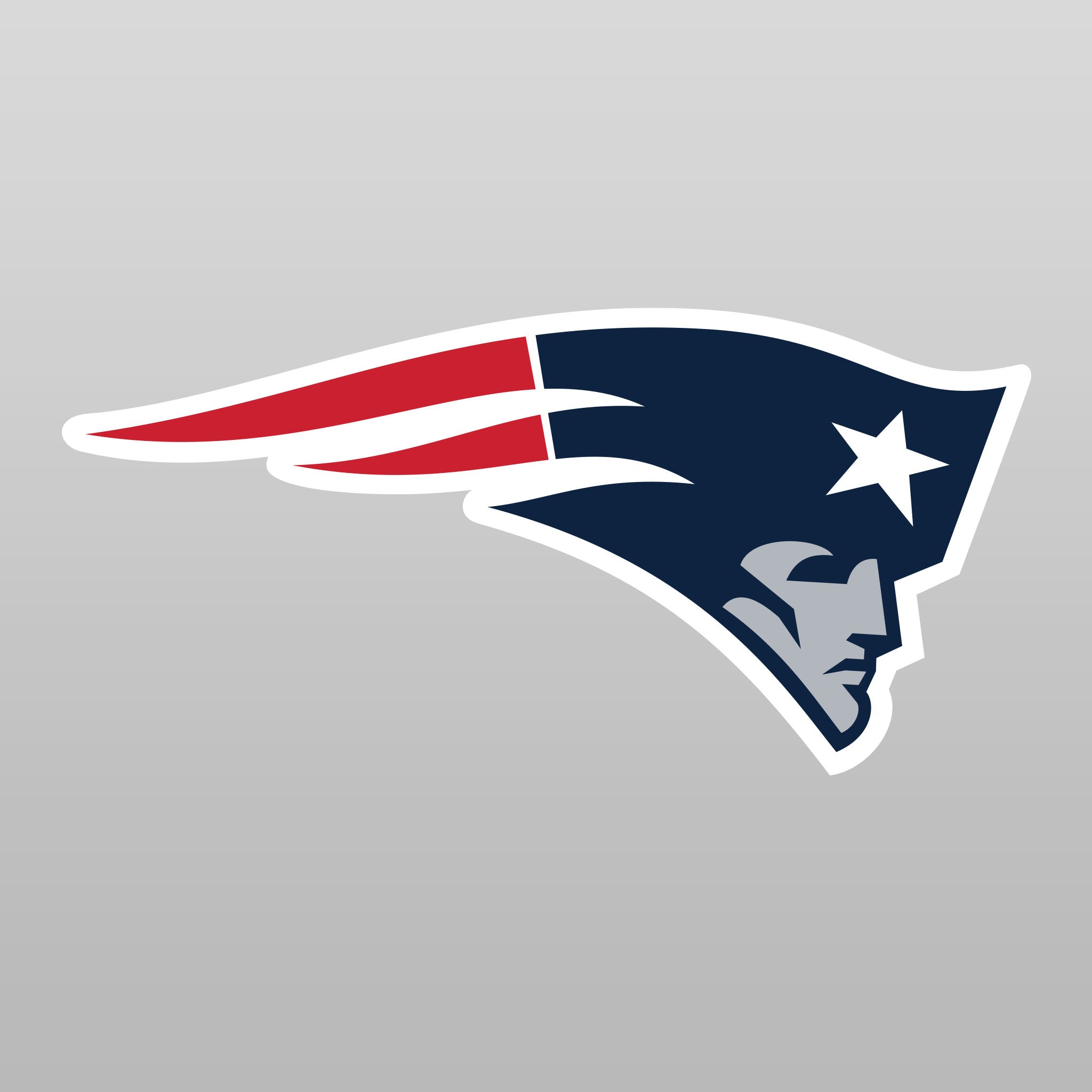 Top Cup New England Patriots NFL Aluminum Cup