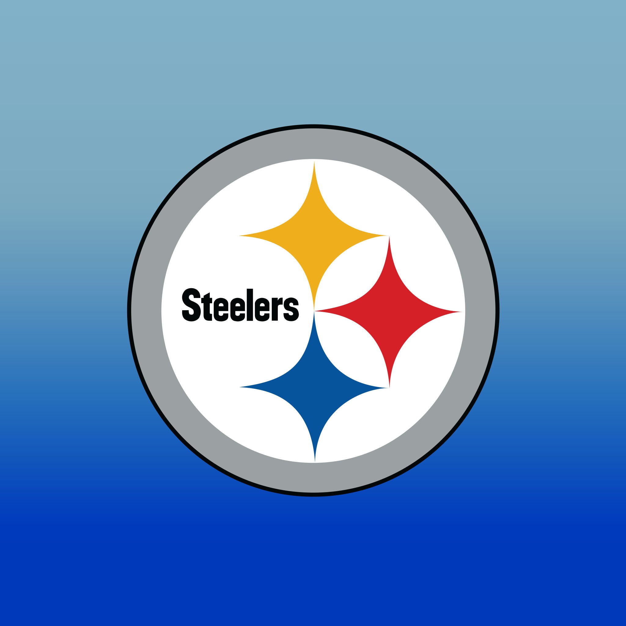 Top Cup Pittsburgh Steelers NFL Aluminum Cup