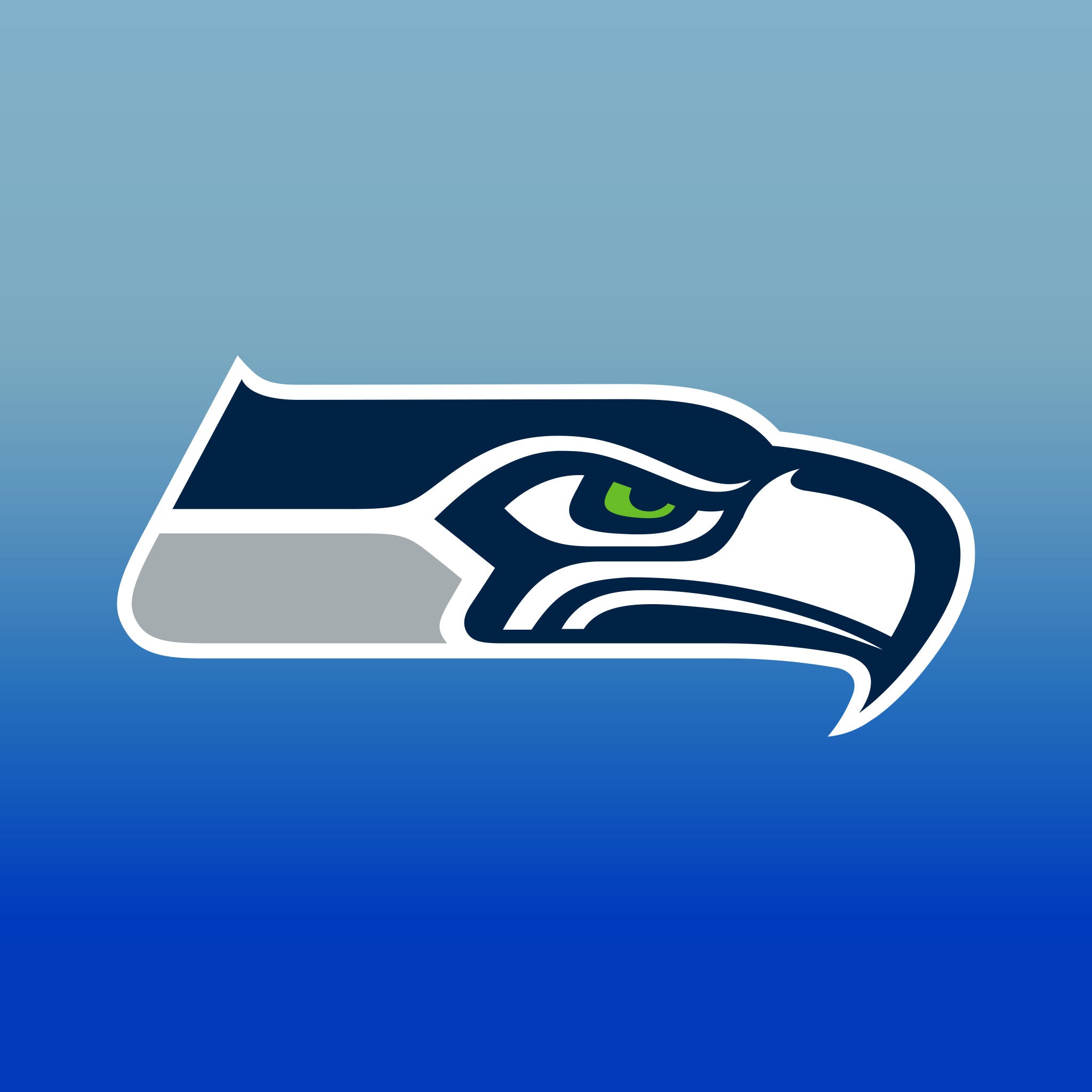 Top Cup Seattle Seahawks NFL Aluminum Cup